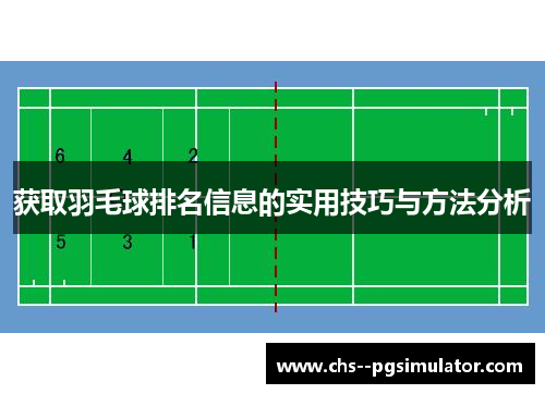 获取羽毛球排名信息的实用技巧与方法分析