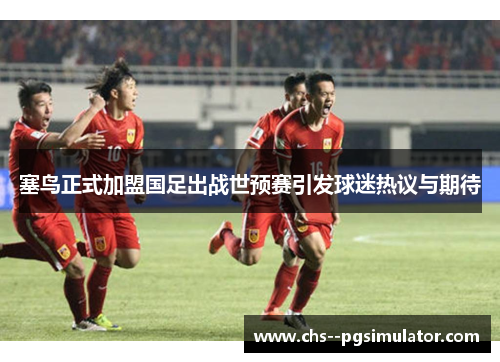 塞鸟正式加盟国足出战世预赛引发球迷热议与期待